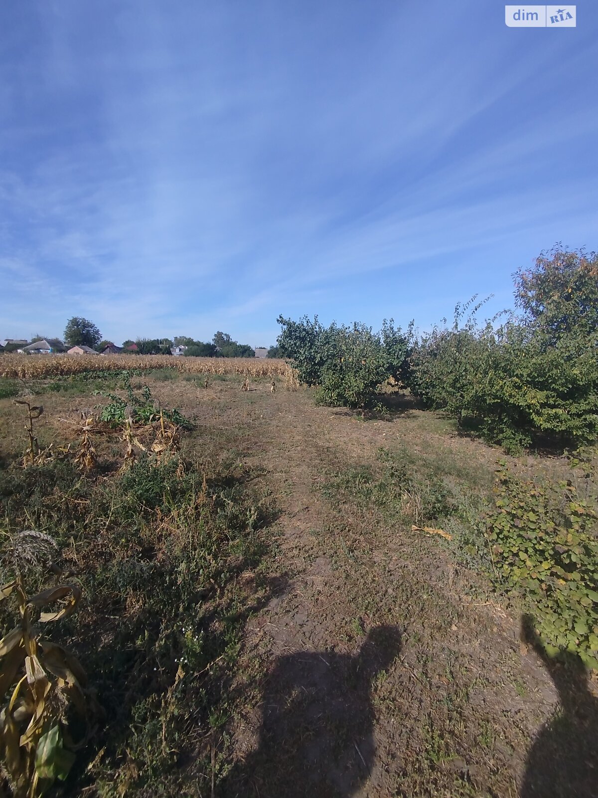 одноповерховий будинок з гаражем, 74 кв. м, цегла. Продаж у Білозір’ї фото 1