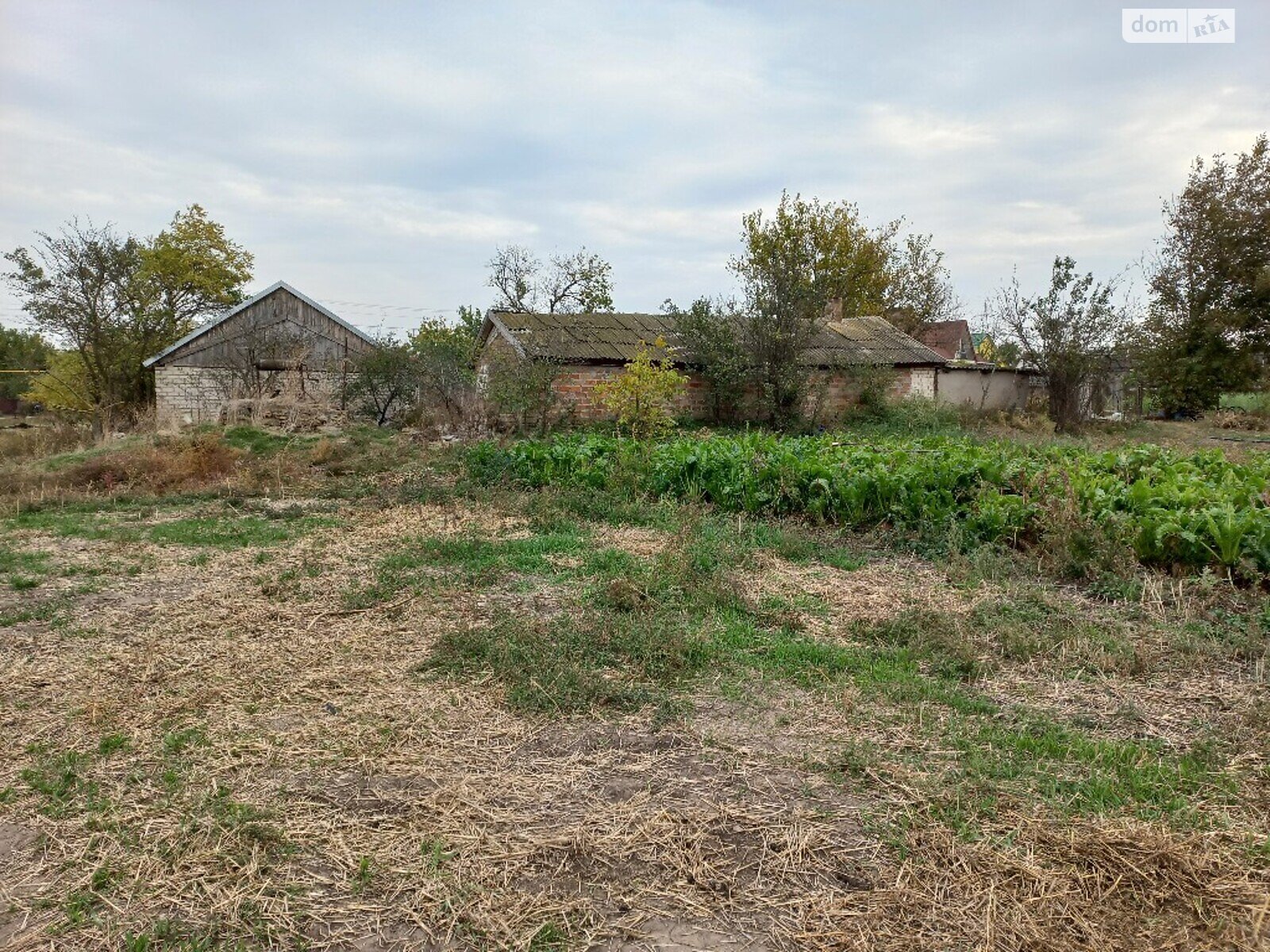 одноповерховий будинок з гаражем, 58.8 кв. м, глинобитний. Продаж у Музиківці фото 1