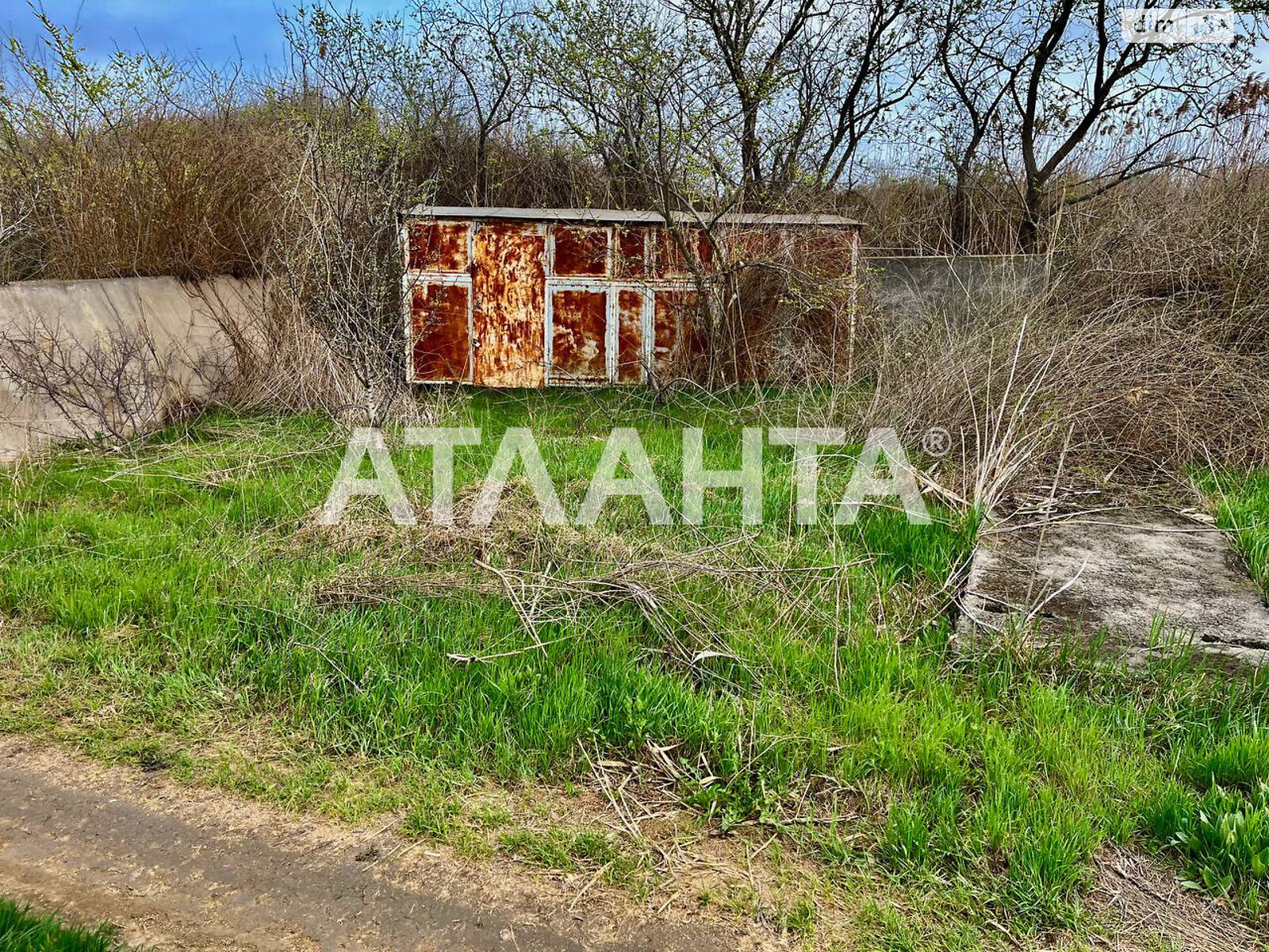 одноповерховий будинок, 80.5 кв. м, ракушечник (ракушняк). Продаж в Біляївці, район Біляївка фото 4 одноповерховий будинок, 80.5 кв. м, ракушечник (ракушняк). Продаж в Біляївці, район Біляївка фото 4