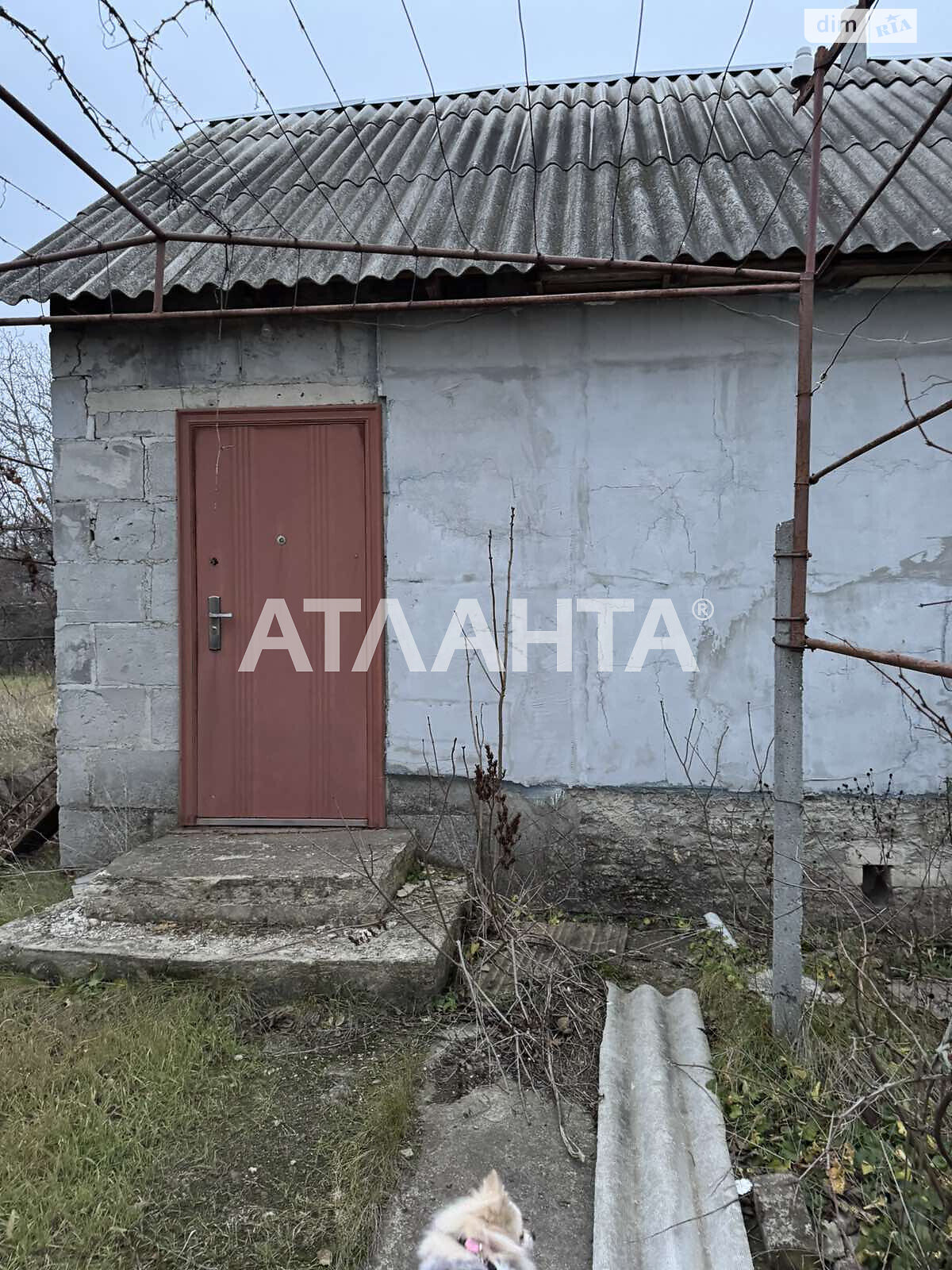 двоповерховий будинок, 107 кв. м, газобетон. Продаж в Біляївці, район Біляївка фото 1 двоповерховий будинок, 107 кв. м, газобетон. Продаж в Біляївці, район Біляївка фото 1