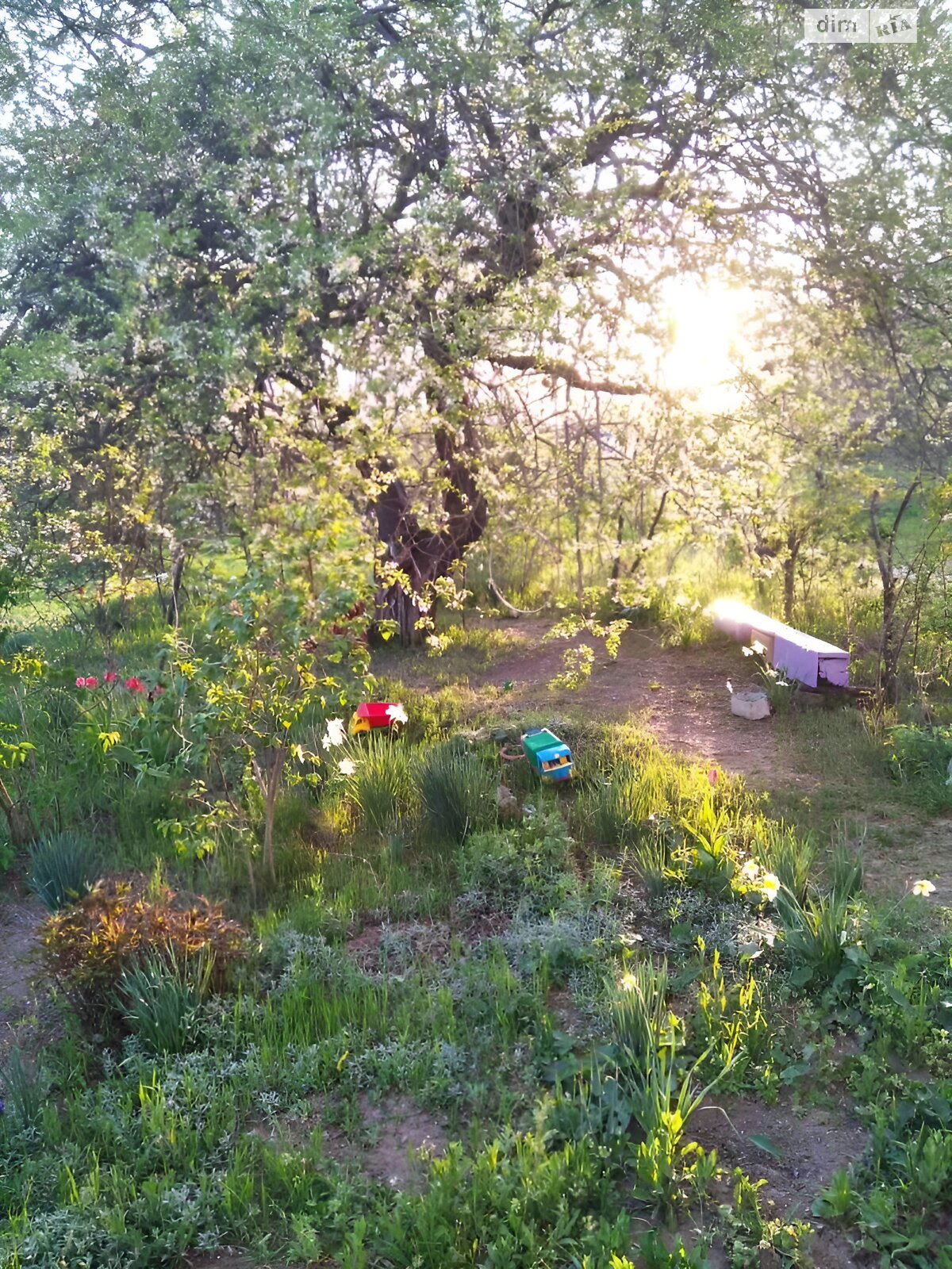 двухэтажный дом, 69 кв. м, ракушечник (ракушняк). Продажа в Беляевке фото 1 двухэтажный дом, 69 кв. м, ракушечник (ракушняк). Продажа в Беляевке фото 1