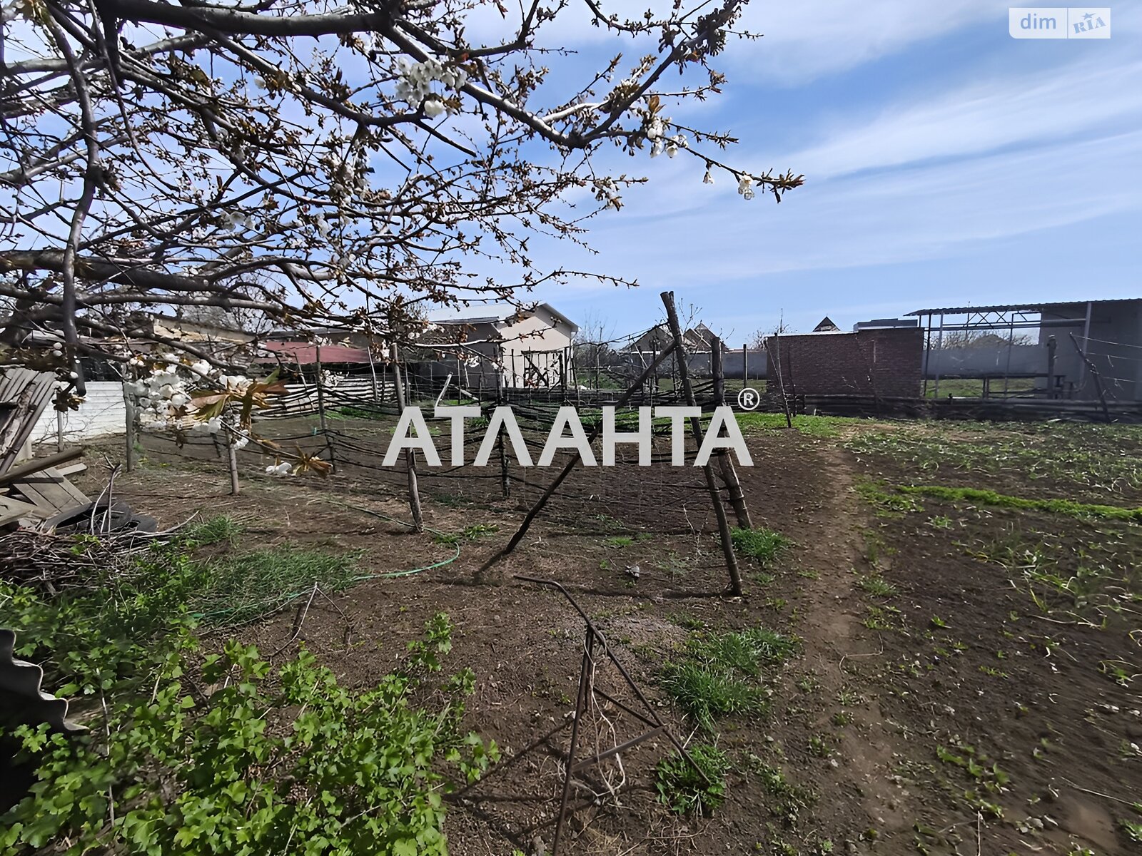 одноэтажный дом беседка, 105.3 кв. м, ракушечник (ракушняк). Продажа в Беляевке фото 1 одноэтажный дом беседка, 105.3 кв. м, ракушечник (ракушняк). Продажа в Беляевке фото 1
