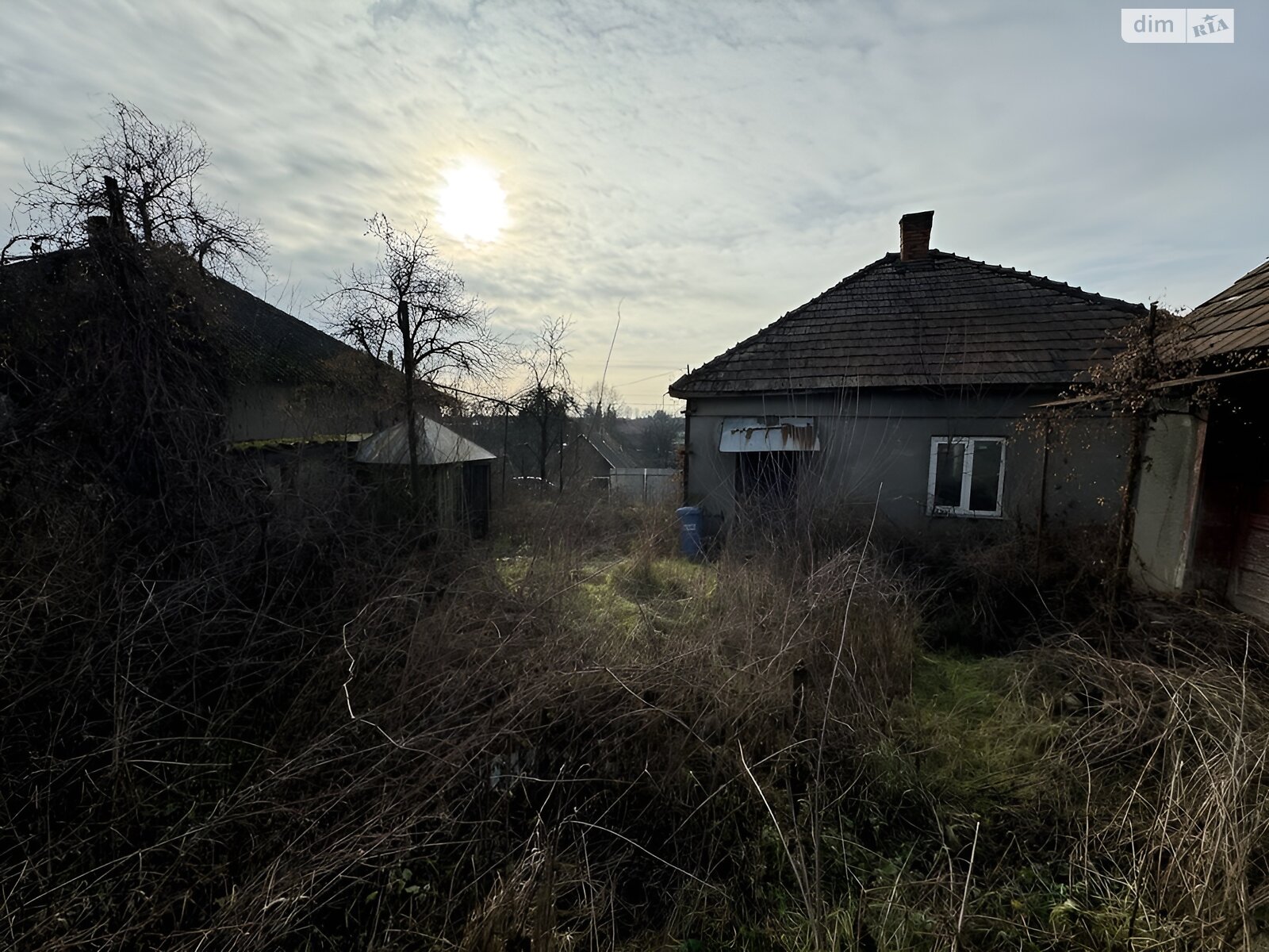 одноповерховий будинок, 40 кв. м, шлакоблок. Продаж у Бенедиківці фото 1 одноповерховий будинок, 40 кв. м, шлакоблок. Продаж у Бенедиківці фото 1