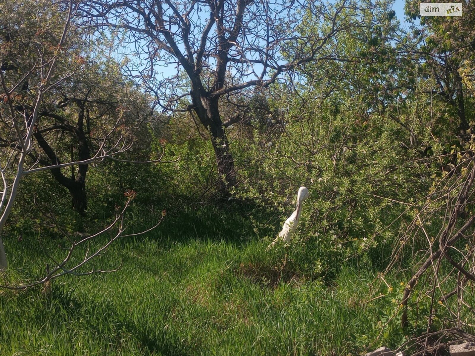 одноэтажный дом, 50.4 кв. м, кирпич. Продажа в Бердичеве район Корниловка фото 1