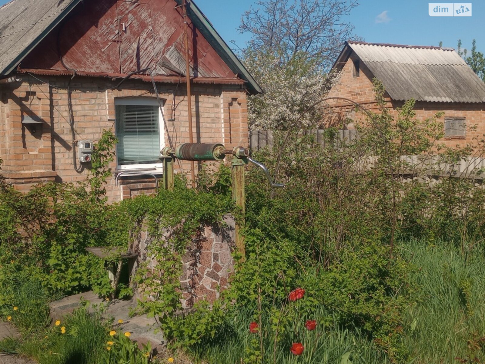 одноэтажный дом, 50.4 кв. м, кирпич. Продажа в Бердичеве район Корниловка фото 1