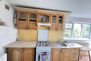 одноповерховий будинок з опаленням, 39.8 кв. м, кирпич. Продаж у Бердичеві фото 2
