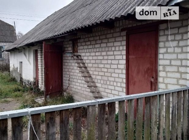 одноэтажный дом с садом, 88 кв. м, кирпич. Продажа в Старом Солотвине (Житомирская обл.) фото 1 одноэтажный дом с садом, 88 кв. м, кирпич. Продажа в Старом Солотвине (Житомирская обл.) фото 1
