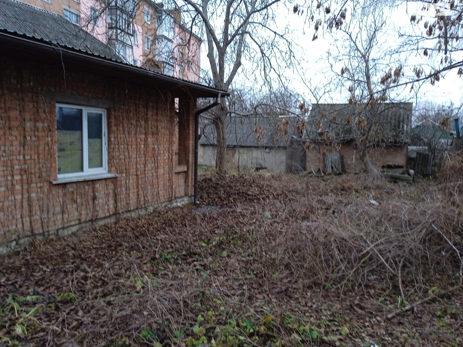 одноэтажный дом с гаражом, 64.2 кв. м, кирпич. Продажа в Бердичеве фото 1 одноэтажный дом с гаражом, 64.2 кв. м, кирпич. Продажа в Бердичеве фото 1