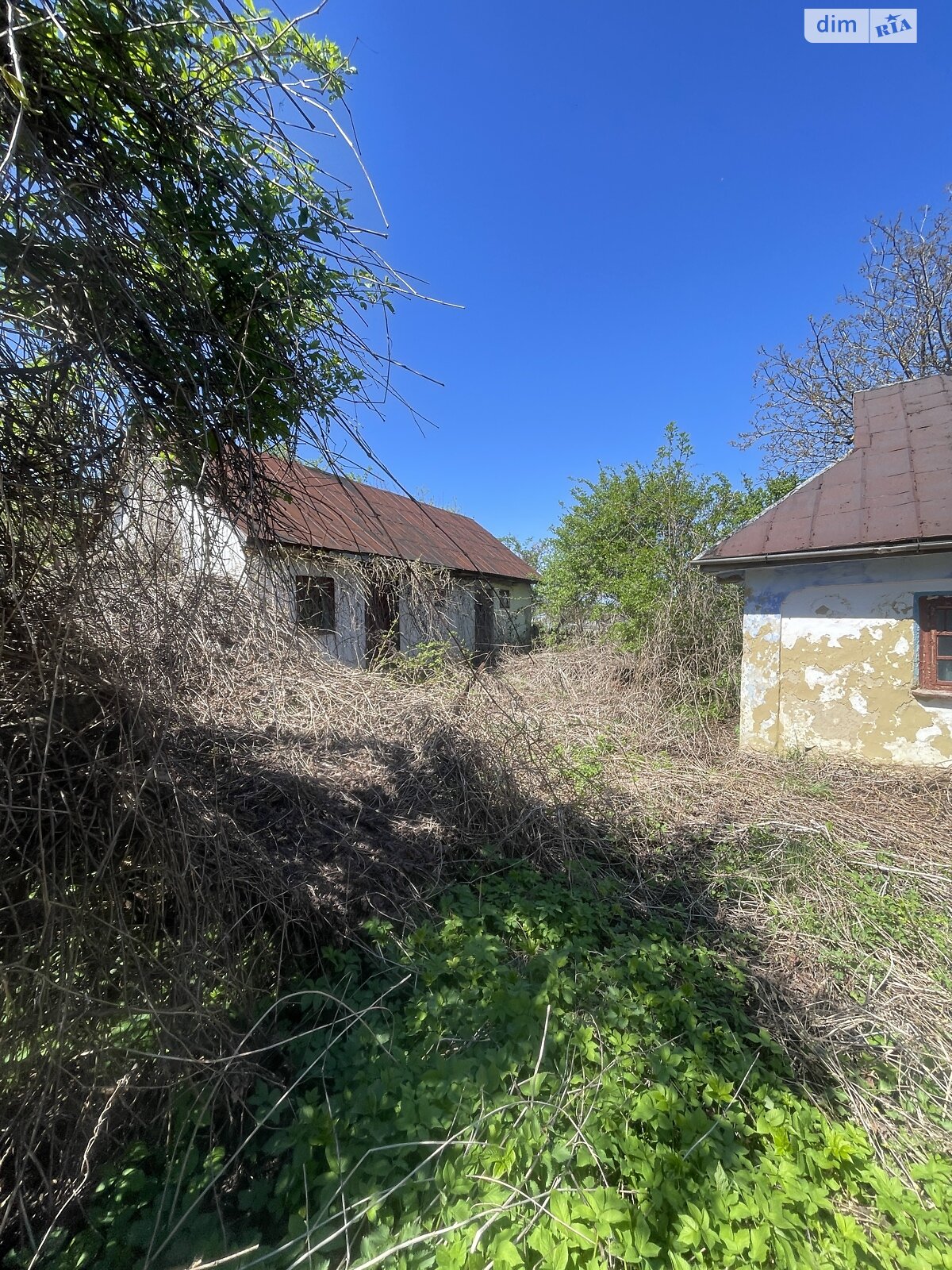 одноповерховий будинок, 54 кв. м, глинобитний. Продаж у Берегелі фото 1 одноповерховий будинок, 54 кв. м, глинобитний. Продаж у Берегелі фото 1