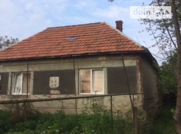 одноэтажный дом с камином, 120 кв. м, кирпич. Продажа в Косони (Закарпатская обл.) фото 1 одноэтажный дом с камином, 120 кв. м, кирпич. Продажа в Косони (Закарпатская обл.) фото 1