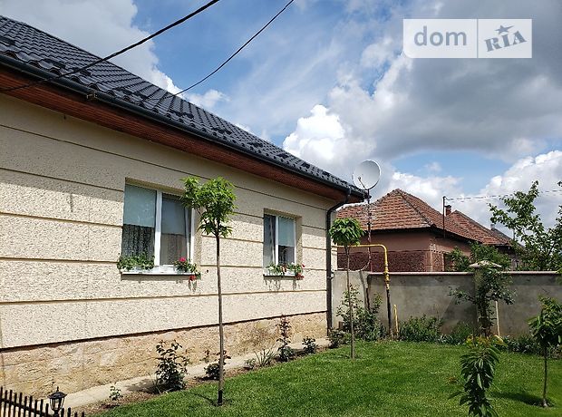 одноэтажный дом с садом, 140 кв. м, кирпич. Продажа в Яноше (Закарпатская обл.) фото 1 одноэтажный дом с садом, 140 кв. м, кирпич. Продажа в Яноше (Закарпатская обл.) фото 1