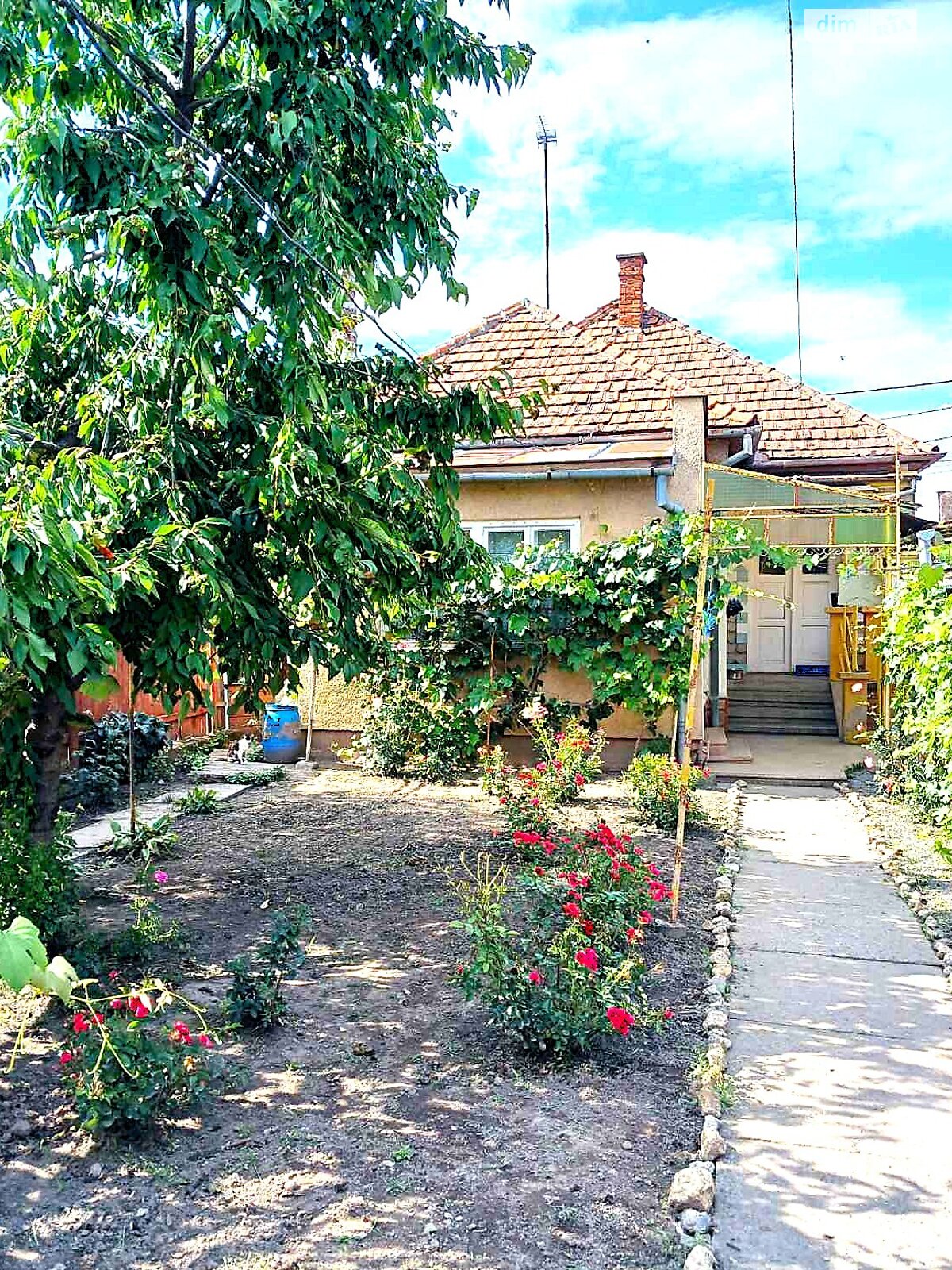 одноповерховий будинок з гаражем, 80 кв. м, цегла. Продаж у Береговому фото 1 одноповерховий будинок з гаражем, 80 кв. м, цегла. Продаж у Береговому фото 1