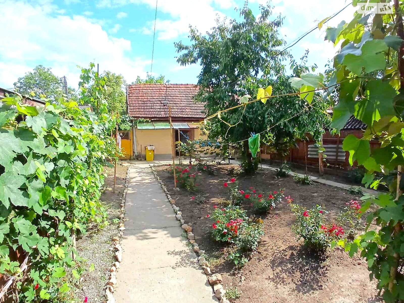 одноповерховий будинок з гаражем, 80 кв. м, цегла. Продаж у Береговому фото 1 одноповерховий будинок з гаражем, 80 кв. м, цегла. Продаж у Береговому фото 1