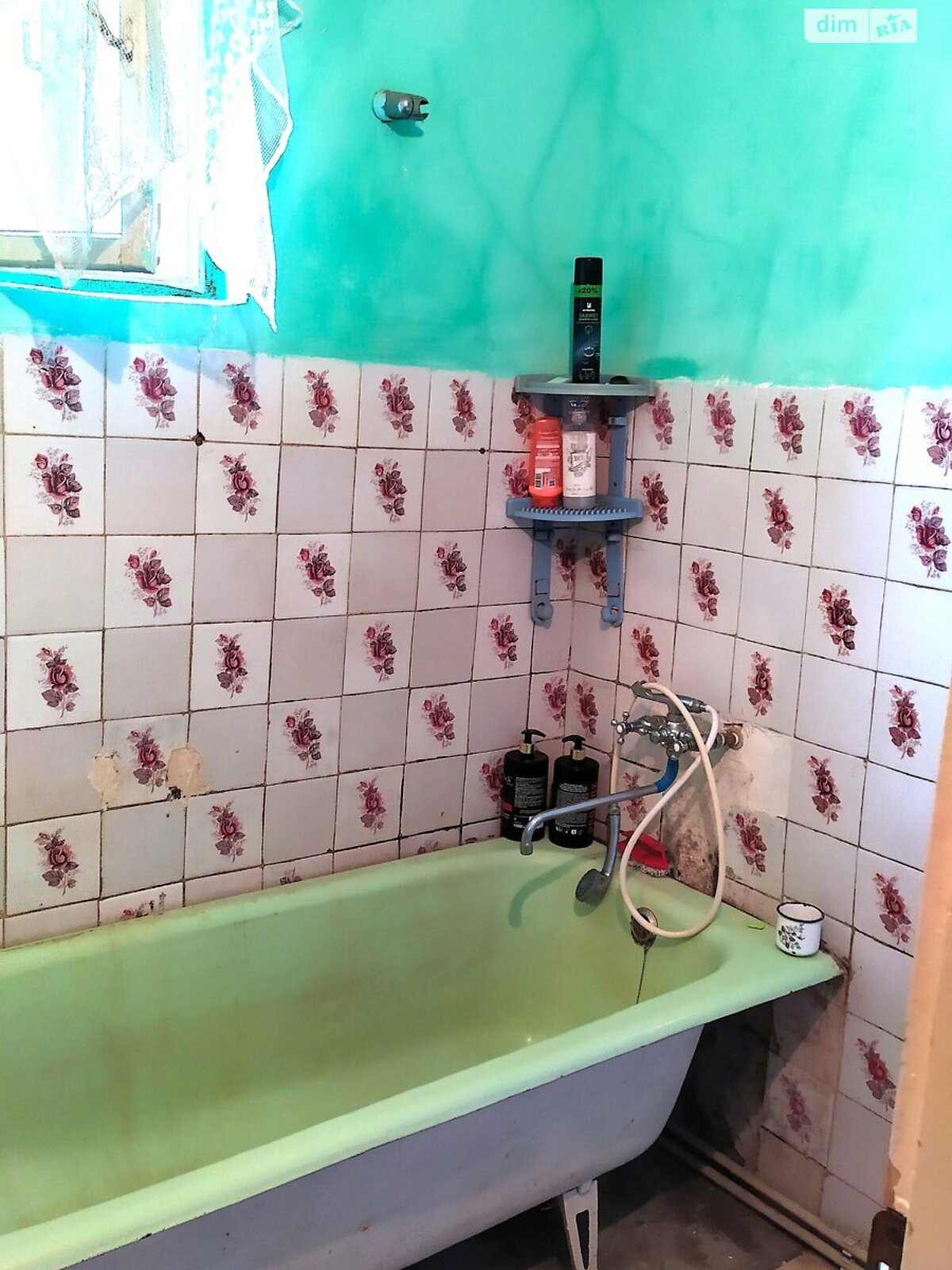 одноповерховий будинок з гаражем, 80 кв. м, цегла. Продаж у Береговому фото 1 одноповерховий будинок з гаражем, 80 кв. м, цегла. Продаж у Береговому фото 1