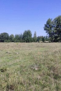 одноповерховий будинок з верандою, 49.4 кв. м, цегла. Продаж у Берестянці фото 2