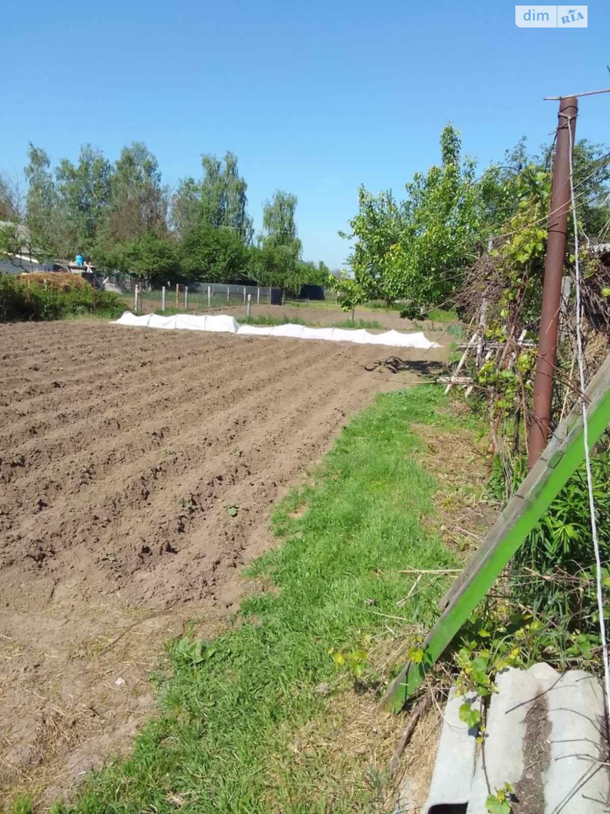 одноповерховий будинок з верандою, 179 кв. м, шлакобетон. Продаж в Березані фото 1 одноповерховий будинок з верандою, 179 кв. м, шлакобетон. Продаж в Березані фото 1