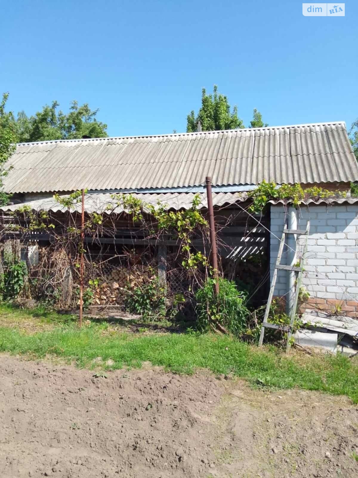 одноповерховий будинок з верандою, 179 кв. м, шлакобетон. Продаж в Березані фото 1 одноповерховий будинок з верандою, 179 кв. м, шлакобетон. Продаж в Березані фото 1