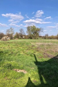 одноповерховий будинок, 95.3 кв. м, зруб. Продаж у Березані фото 2 одноповерховий будинок, 95.3 кв. м, зруб. Продаж у Березані фото 2