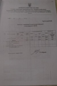 двоповерховий будинок, 140 кв. м, цегла. Продаж у Березинці фото 2