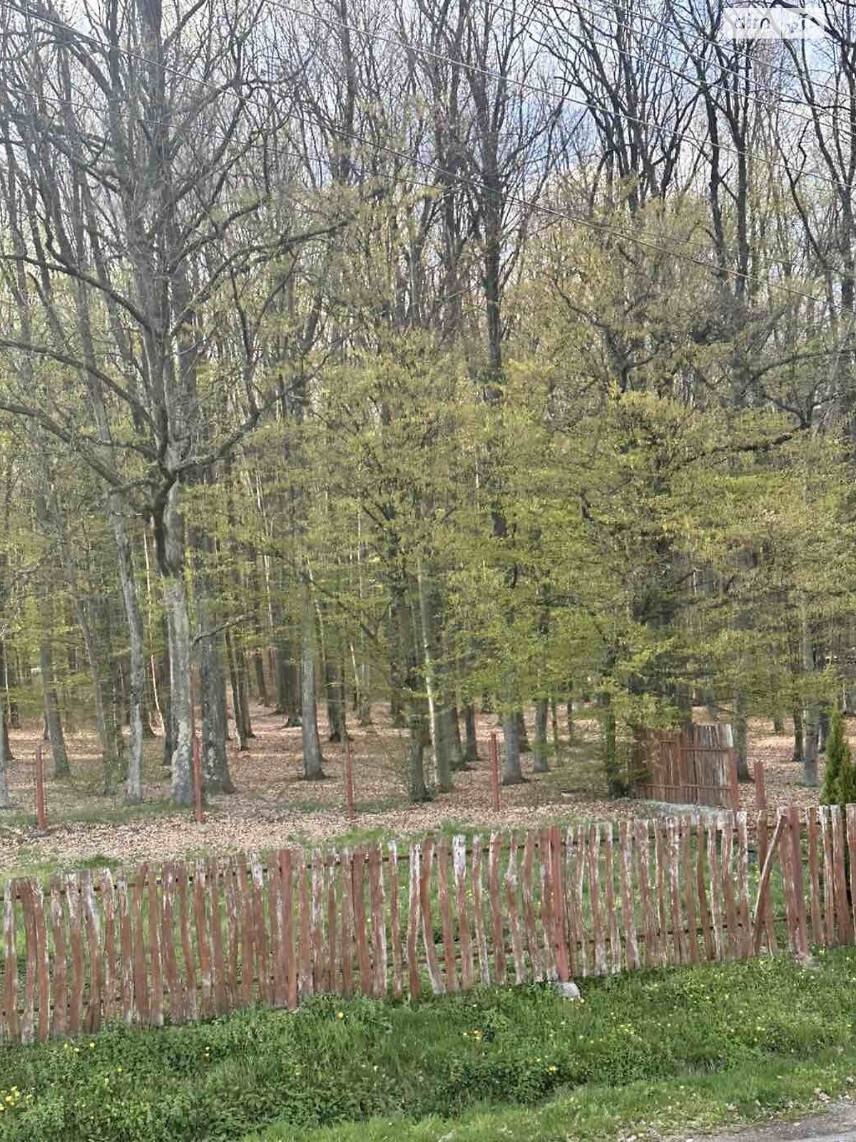 двоповерховий будинок, 118 кв. м, цегла. Продаж у Березинці фото 1 двоповерховий будинок, 118 кв. м, цегла. Продаж у Березинці фото 1