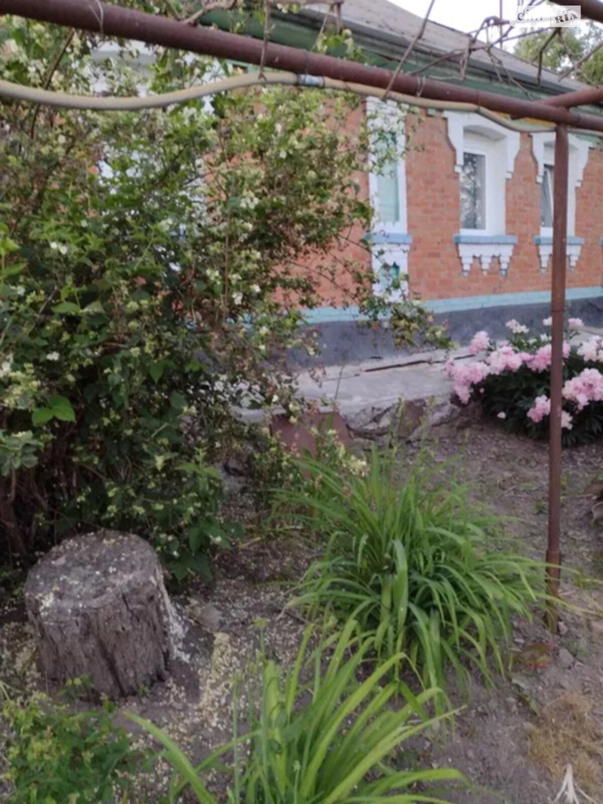 одноповерховий будинок, 65 кв. м, цегла. Продаж у Березні фото 1