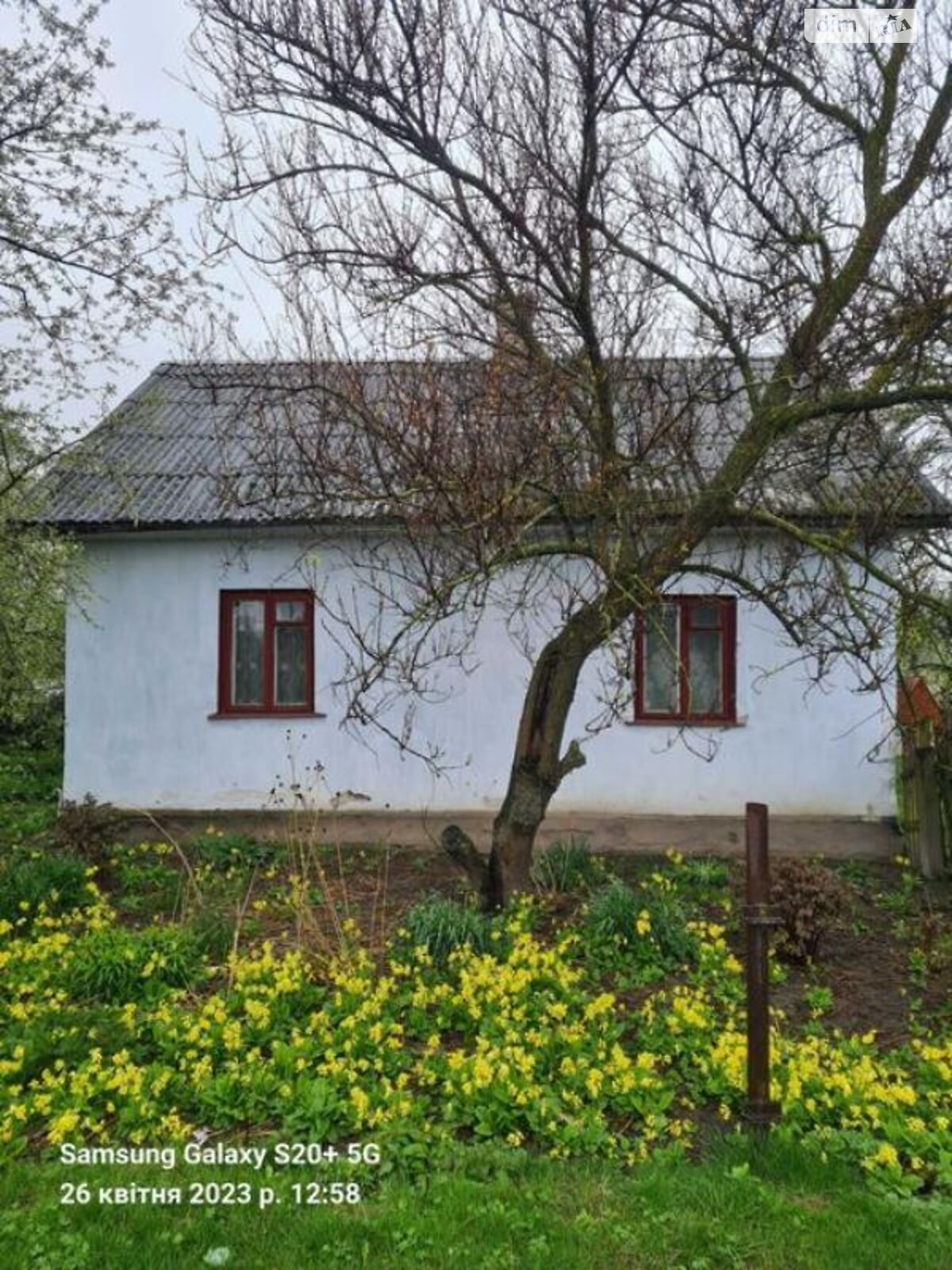 одноэтажный дом, 87 кв. м, шлакоблок. Продажа в Березно фото 1 одноэтажный дом, 87 кв. м, шлакоблок. Продажа в Березно фото 1