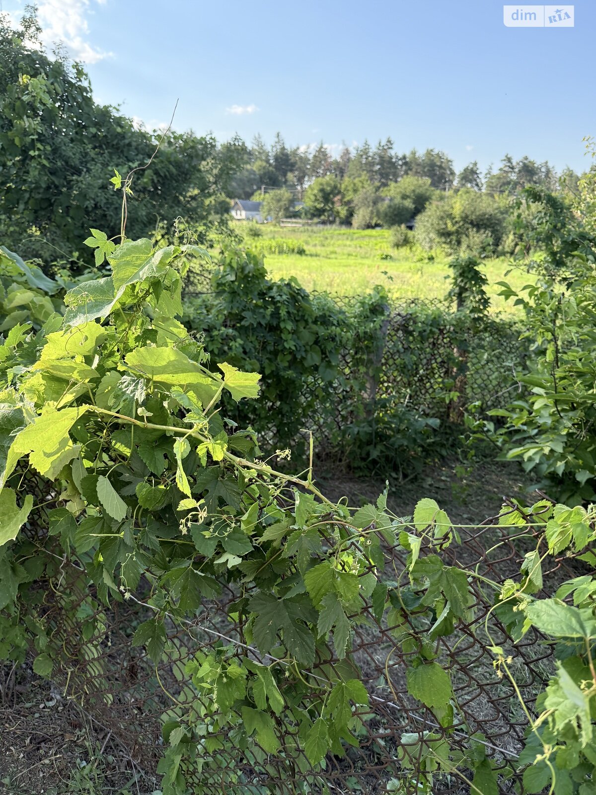 одноэтажный дом с верандой, 61.4 кв. м, дерево и кирпич. Продажа в Березняках фото 1