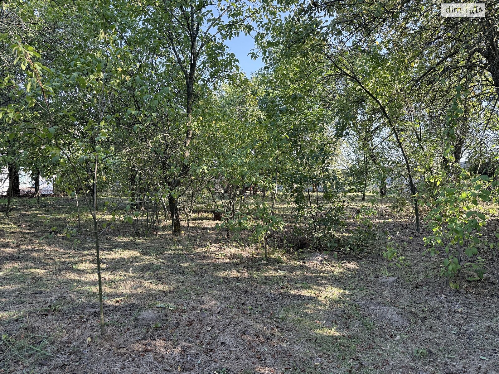 одноэтажный дом с верандой, 61.4 кв. м, дерево и кирпич. Продажа в Березняках фото 1