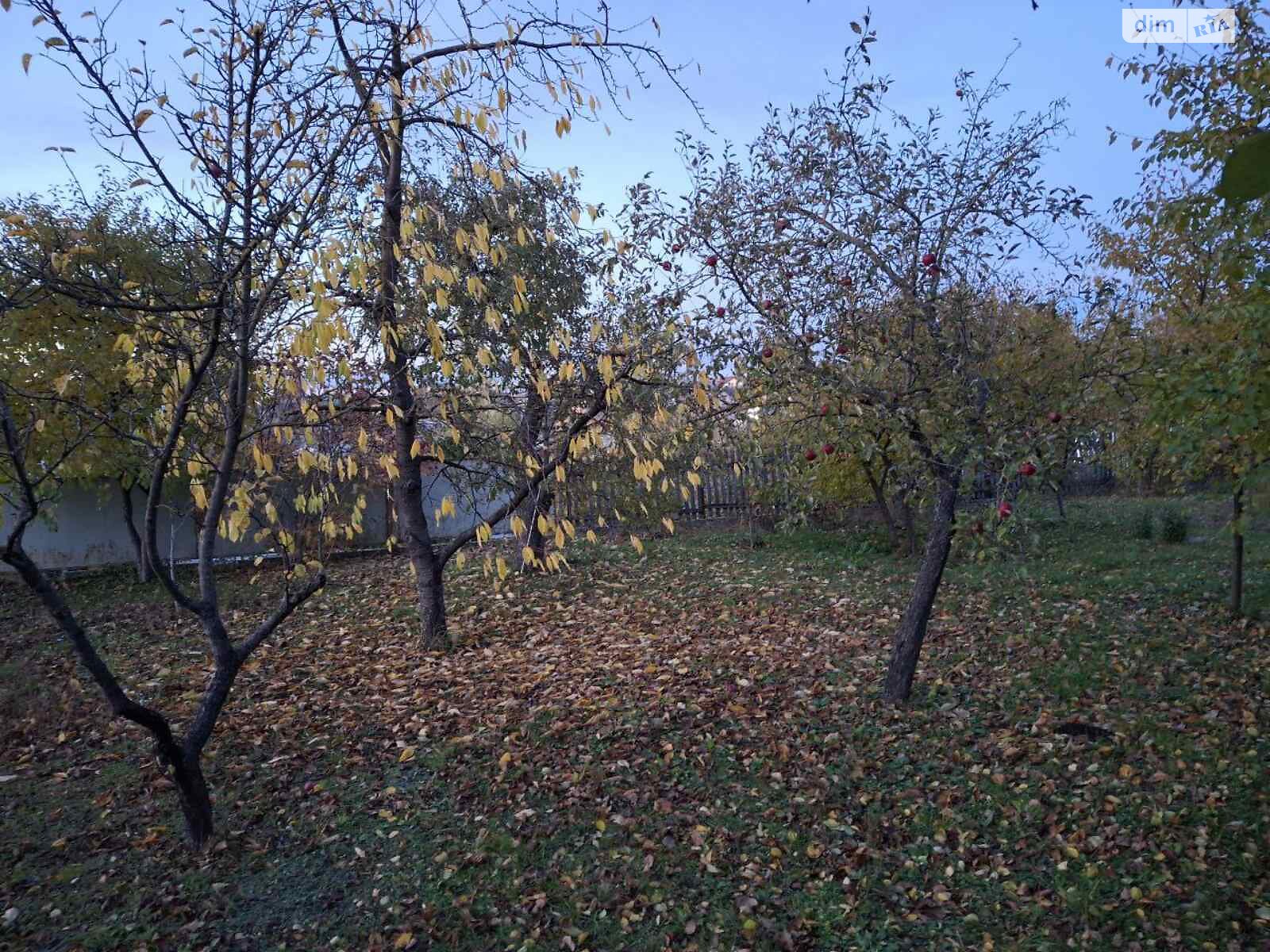 одноэтажный дом, 127 кв. м, цегла. Продажа в Березовице фото 1