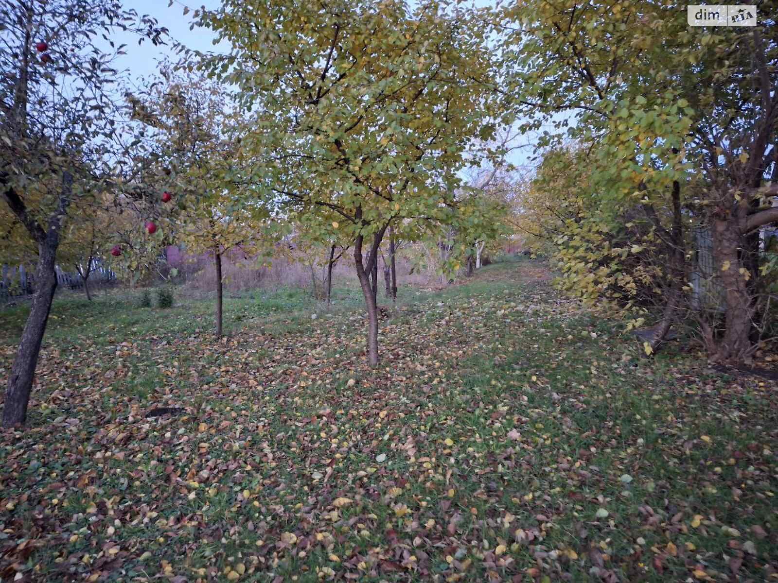 одноэтажный дом, 127 кв. м, цегла. Продажа в Березовице фото 1