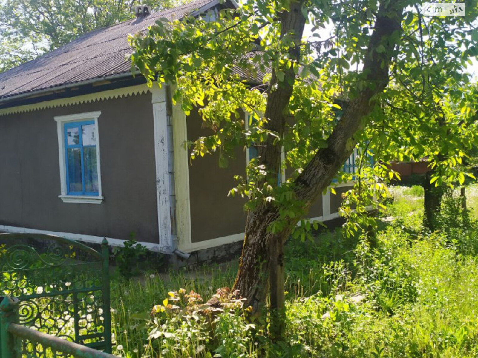 одноэтажный дом с верандой, 61 кв. м, кирпич. Продажа в Березовке фото 1 одноэтажный дом с верандой, 61 кв. м, кирпич. Продажа в Березовке фото 1