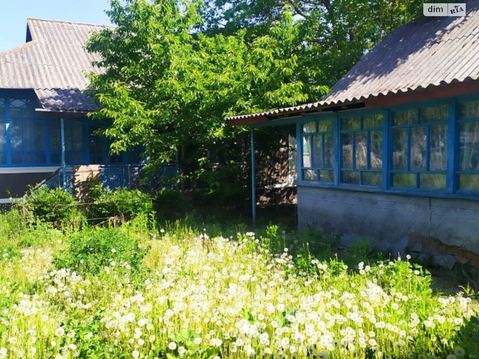 одноэтажный дом с верандой, 61 кв. м, кирпич. Продажа в Березовке фото 1 одноэтажный дом с верандой, 61 кв. м, кирпич. Продажа в Березовке фото 1