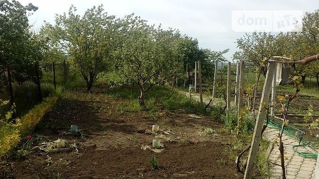 двоповерховий будинок з садом, 42 кв. м, ракушняк. Продаж у Березівці фото 1