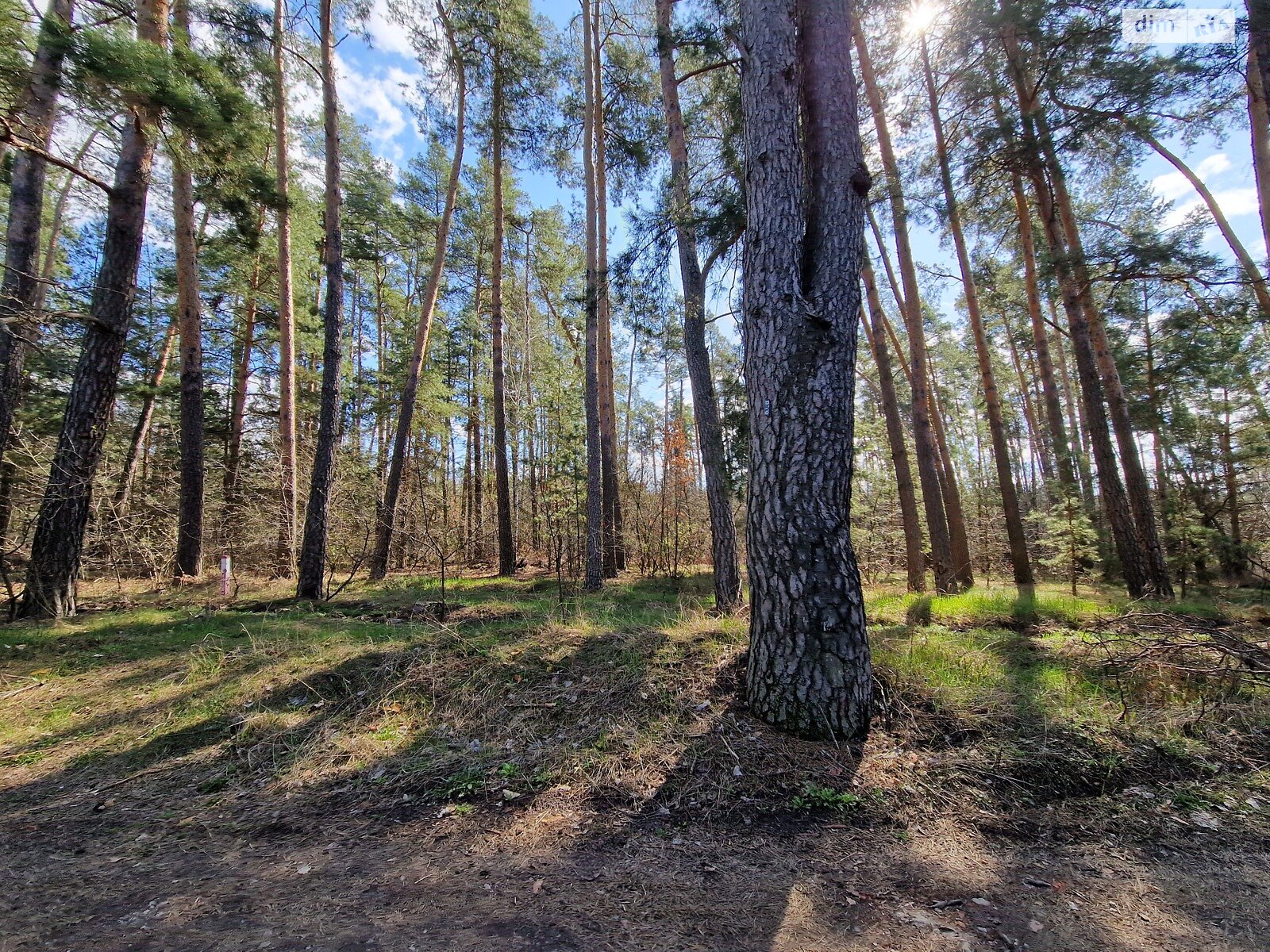 двоповерховий будинок, 250.7 кв. м, керамічний блок. Продаж у Березівці фото 1