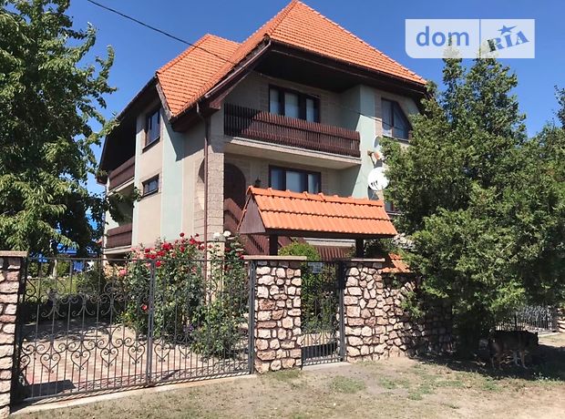 двоповерховий будинок з каміном, 300 кв. м, цегла. Продаж в Бершаді, район Бершадь фото 1 двоповерховий будинок з каміном, 300 кв. м, цегла. Продаж в Бершаді, район Бершадь фото 1