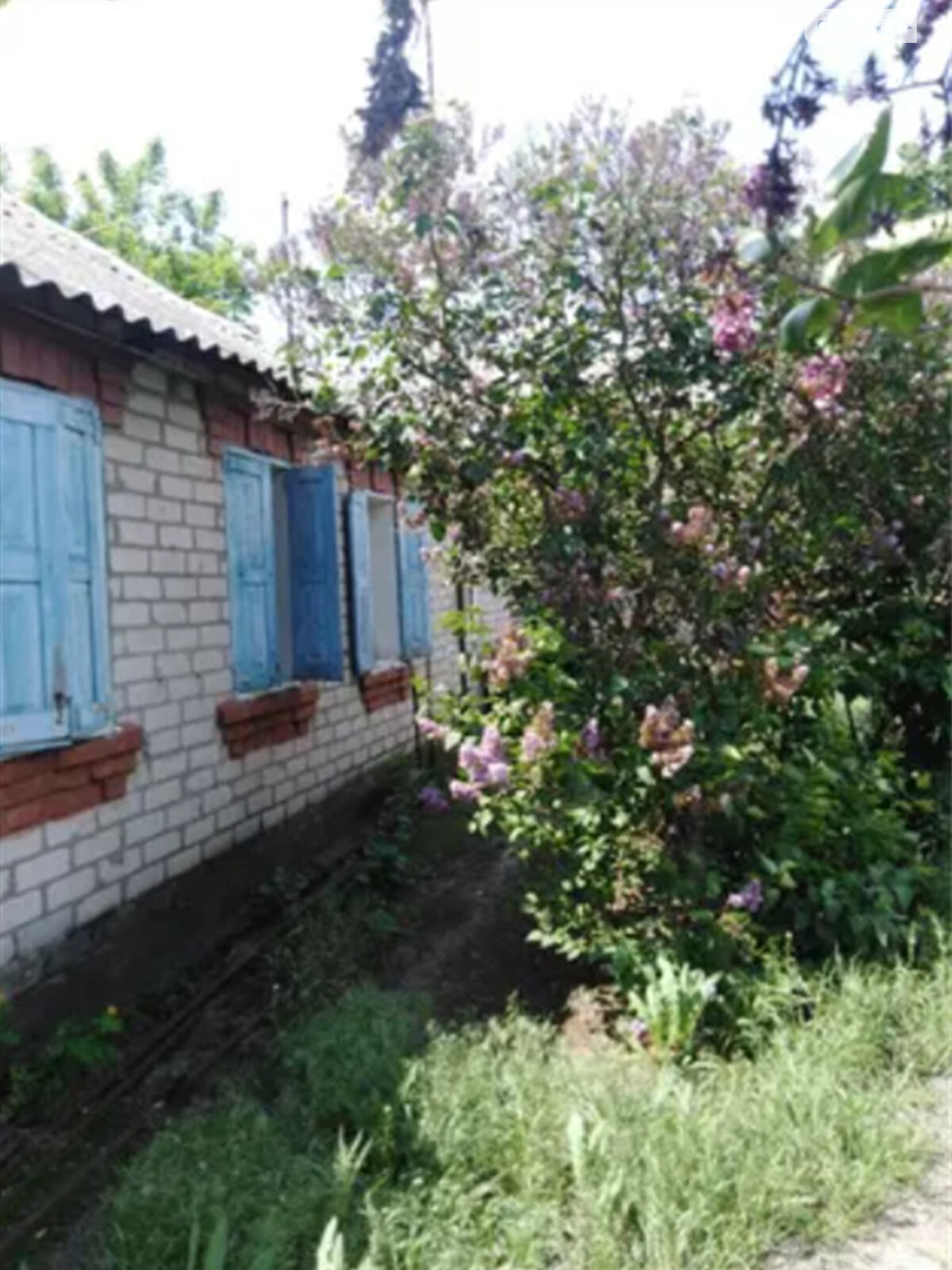 одноэтажный дом с верандой, 60 кв. м, кирпич. Продажа в Безлюдовке фото 1 одноэтажный дом с верандой, 60 кв. м, кирпич. Продажа в Безлюдовке фото 1