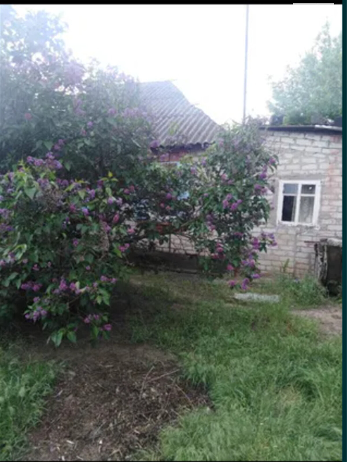 одноэтажный дом с верандой, 60 кв. м, кирпич. Продажа в Безлюдовке фото 1 одноэтажный дом с верандой, 60 кв. м, кирпич. Продажа в Безлюдовке фото 1