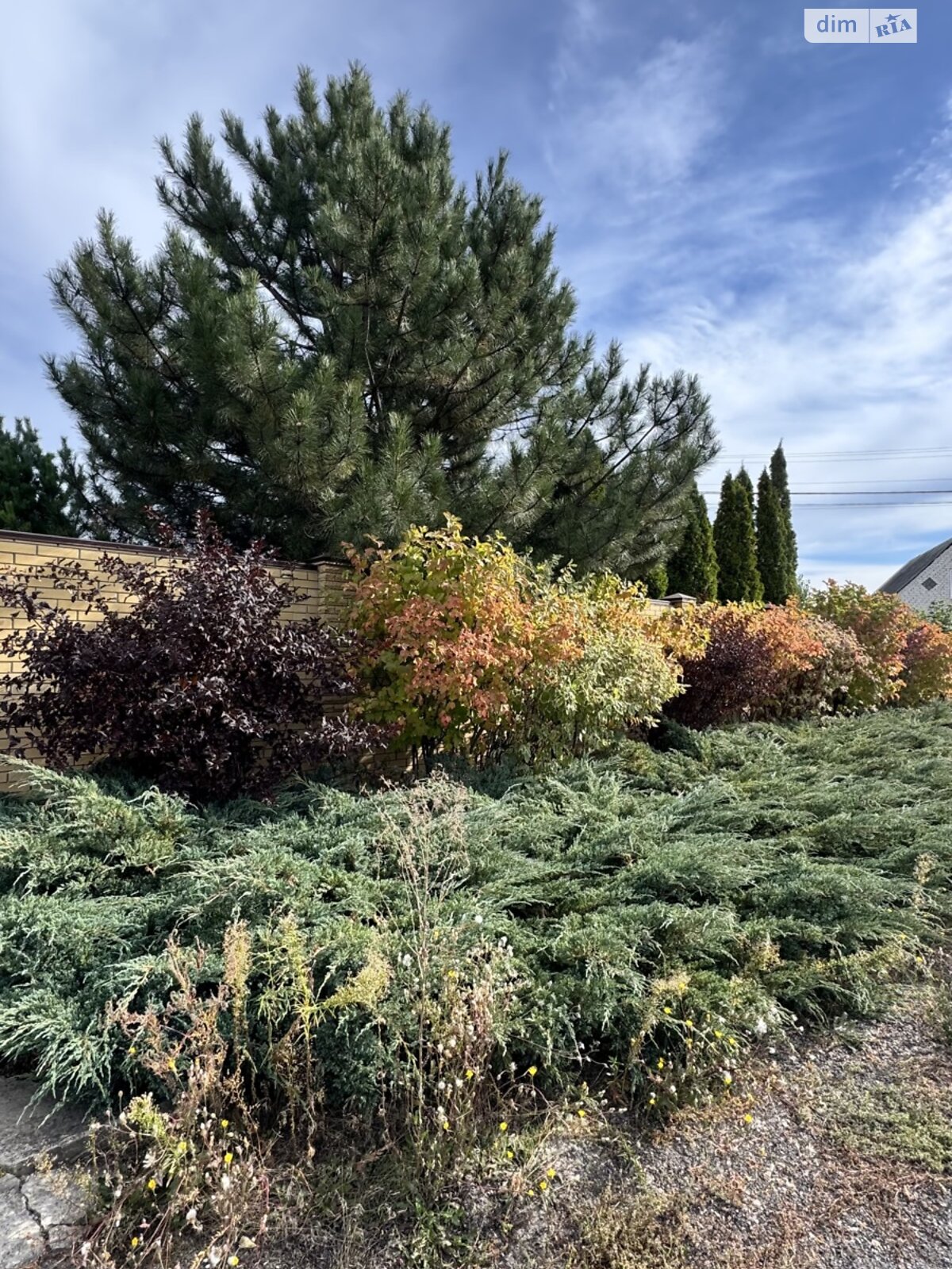 триповерховий будинок з опаленням, 295.5 кв. м, цегла. Продаж у Безлюдівці фото 1 триповерховий будинок з опаленням, 295.5 кв. м, цегла. Продаж у Безлюдівці фото 1