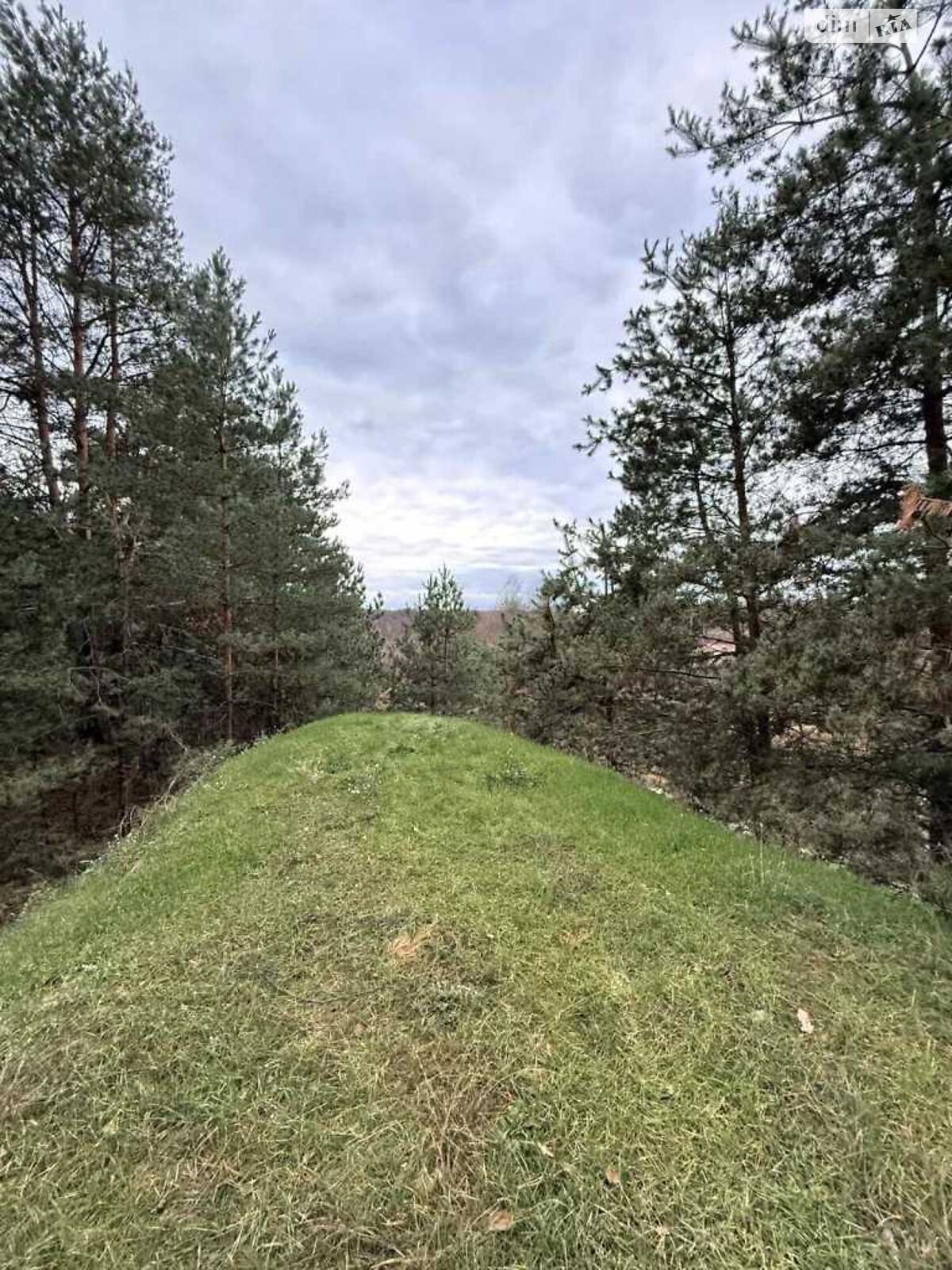 одноповерховий будинок з гаражем, 71.8 кв. м, цегла. Продаж у Безручках фото 1