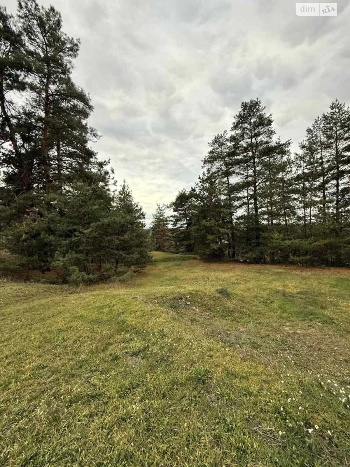 одноповерховий будинок з гаражем, 71.8 кв. м, цегла. Продаж у Безручках фото 1