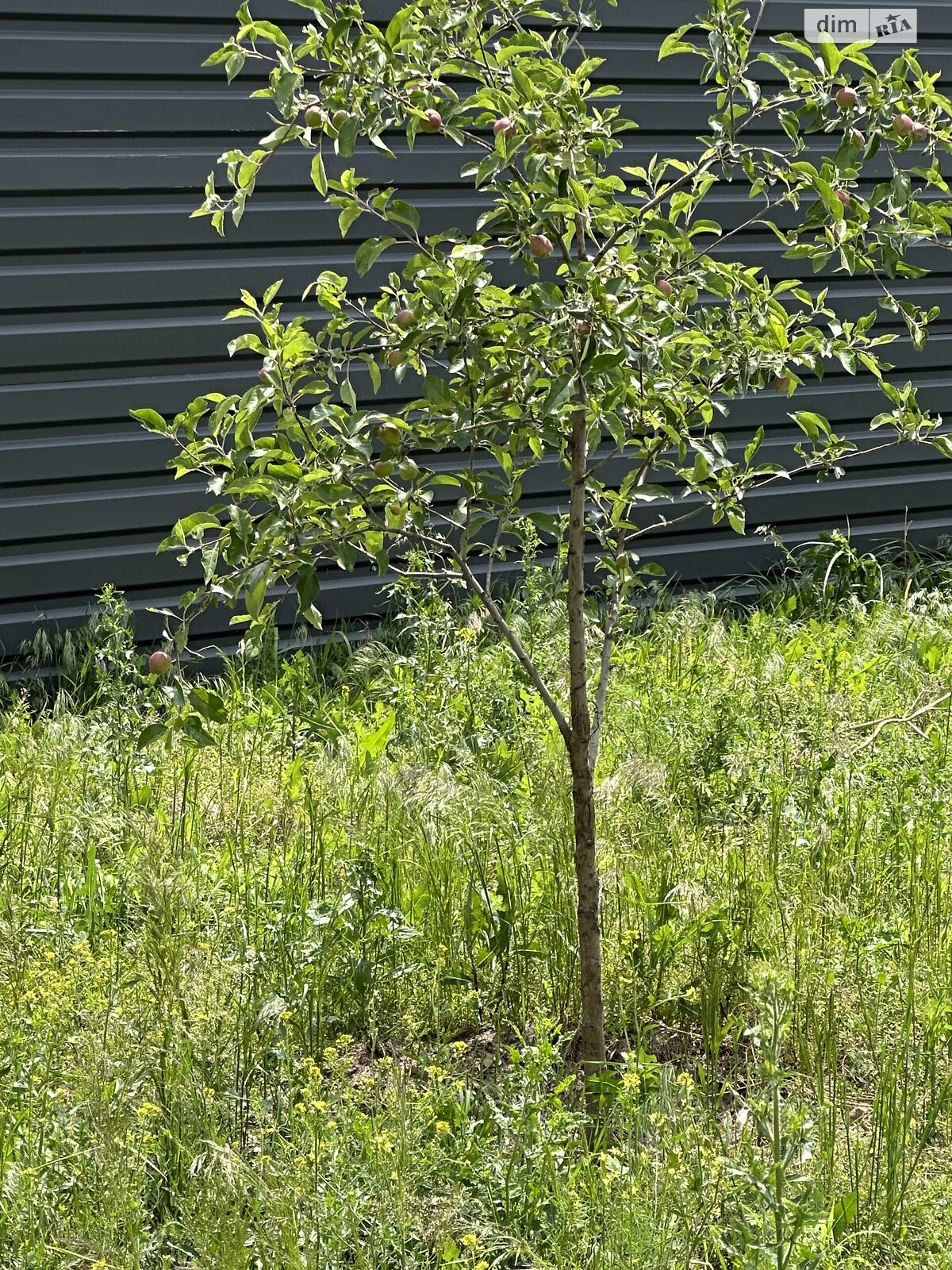 одноэтажный дом с отоплением, 106 кв. м, кирпич. Продажа в Безугловке фото 1 одноэтажный дом с отоплением, 106 кв. м, кирпич. Продажа в Безугловке фото 1
