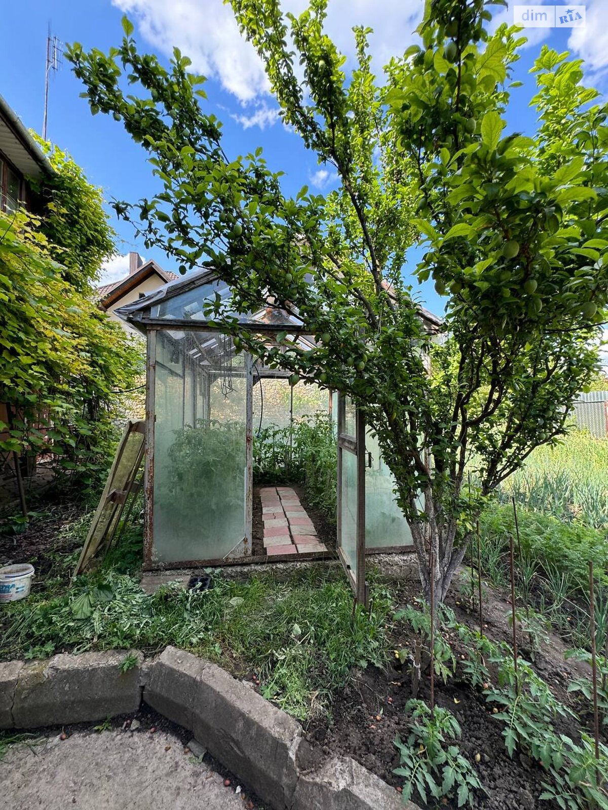 двоповерховий будинок, 200.2 кв. м, цегла. Продаж у Біліій фото 1 двоповерховий будинок, 200.2 кв. м, цегла. Продаж у Біліій фото 1