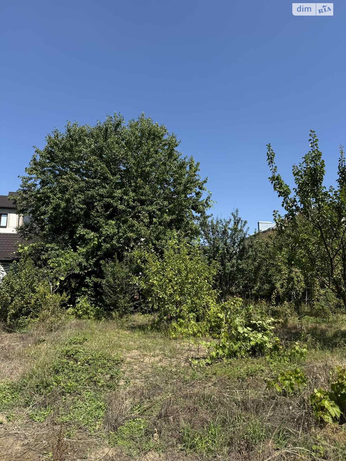 двоповерховий будинок, 120 кв. м, цегла. Продаж у Біліій фото 1 двоповерховий будинок, 120 кв. м, цегла. Продаж у Біліій фото 1