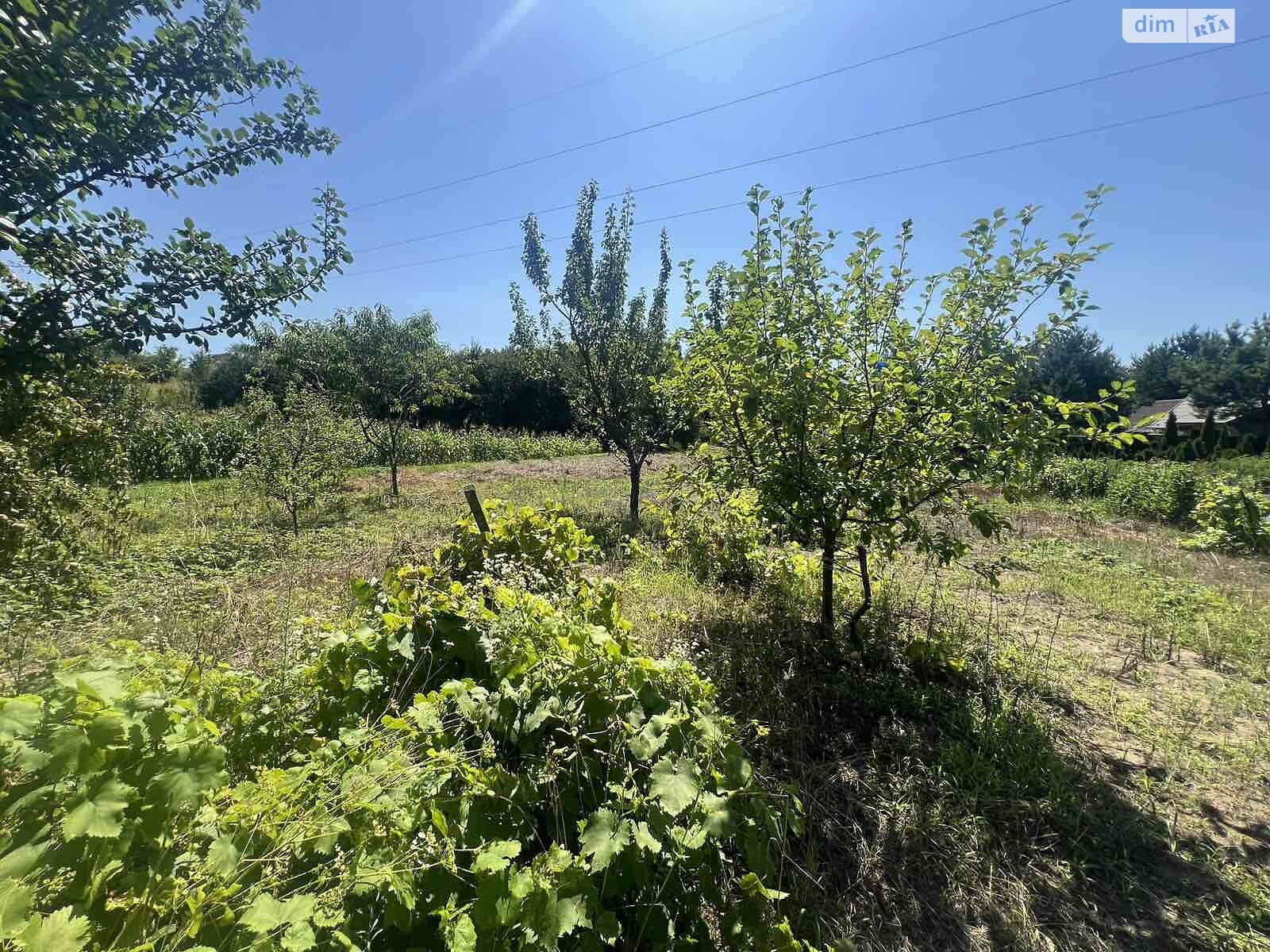 двоповерховий будинок, 120 кв. м, цегла. Продаж у Біліій фото 1 двоповерховий будинок, 120 кв. м, цегла. Продаж у Біліій фото 1