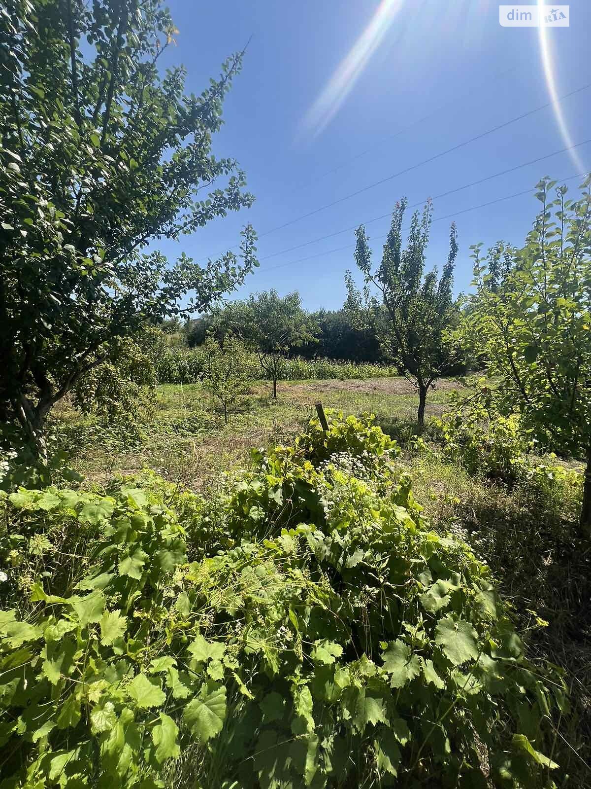 двоповерховий будинок, 120 кв. м, цегла. Продаж у Біліій фото 1 двоповерховий будинок, 120 кв. м, цегла. Продаж у Біліій фото 1