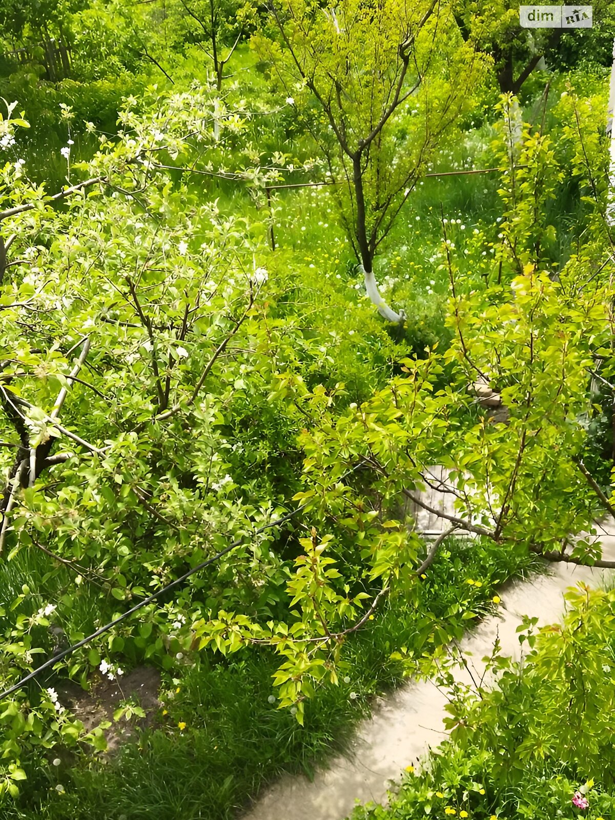 одноповерховий будинок, 79.2 кв. м, кирпич. Продаж у Блиставиці фото 1 одноповерховий будинок, 79.2 кв. м, кирпич. Продаж у Блиставиці фото 1