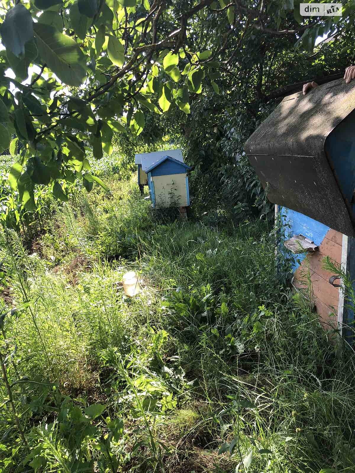 одноповерховий будинок, 66.9 кв. м, брус. Продаж у Бобичі фото 1 одноповерховий будинок, 66.9 кв. м, брус. Продаж у Бобичі фото 1