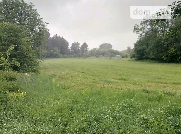 одноэтажный дом, 95 кв. м, дерево и кирпич. Продажа в Горбачах (Черниговская обл.) фото 1 одноэтажный дом, 95 кв. м, дерево и кирпич. Продажа в Горбачах (Черниговская обл.) фото 1