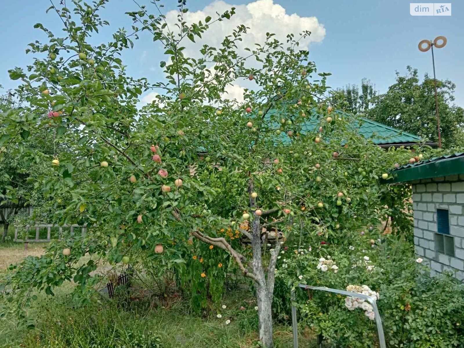 одноэтажный дом с гаражом, 47.4 кв. м, кирпич. Продажа в Боденьках фото 1 одноэтажный дом с гаражом, 47.4 кв. м, кирпич. Продажа в Боденьках фото 1