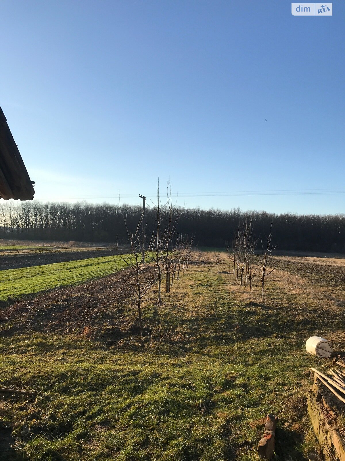 одноповерховий будинок з опаленням, 92 кв. м, брус. Продаж у Богданівці фото 1